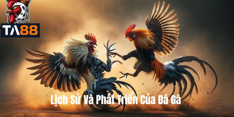 Lịch Sử Và Phát Triển Của Đá Gà