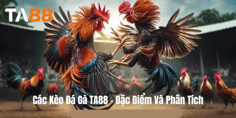 Các Kèo Đá Gà TA88 - Đặc Điểm Và Phân Tích